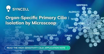 Ad by Syncell