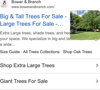 Ad by Bower & Branch