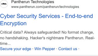 Ad by Pantherun Technologies