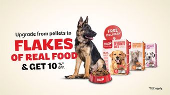 Ad by Right4Paws