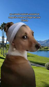 Ad by Treinta