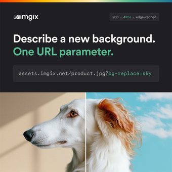 Ad by Imgix